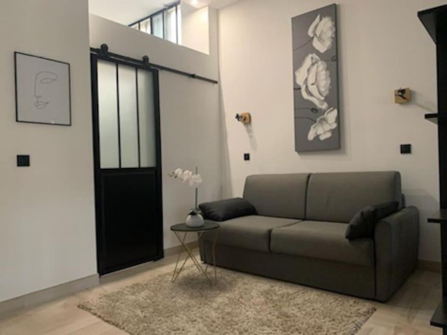Studio Loft 40M2 De Charme Perpignan Exteriér fotografie
